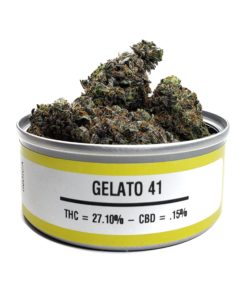 buy gelato 41 online