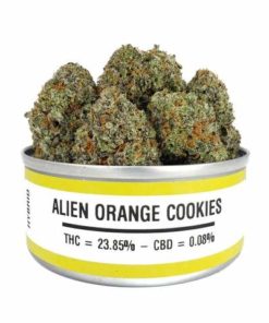 buy alien orange cookies online