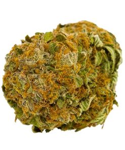 buy afghan haze online