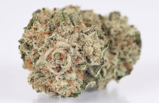 Buy Gorilla Glue #4 Strain Online Online