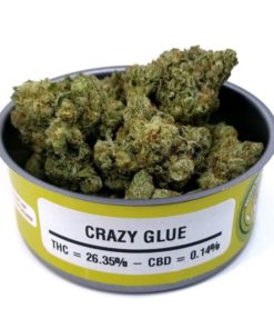buy crazy glue online