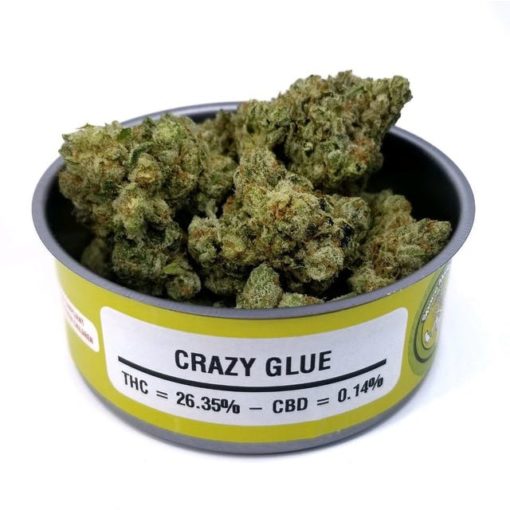 buy crazy glue online