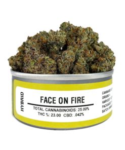 buy face on fire strain online