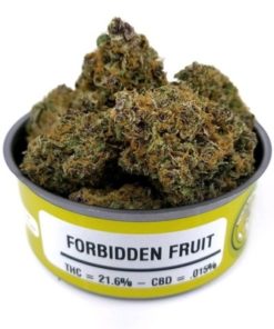 buy forbidden fruit strain online
