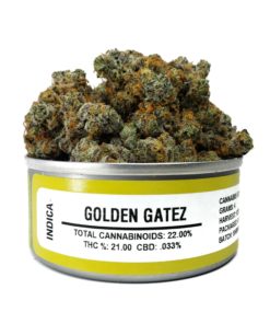 buy golden gage strain online