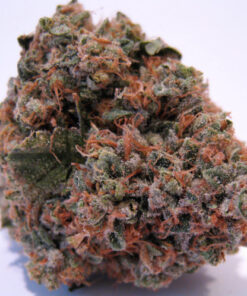buy granddaddy purple online