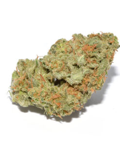 Buy Grape Fruit Strain Online