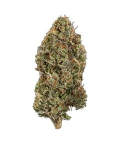buy gushers strain online