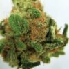 buy hindu kush online