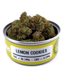 buy lemon cookies strain online
