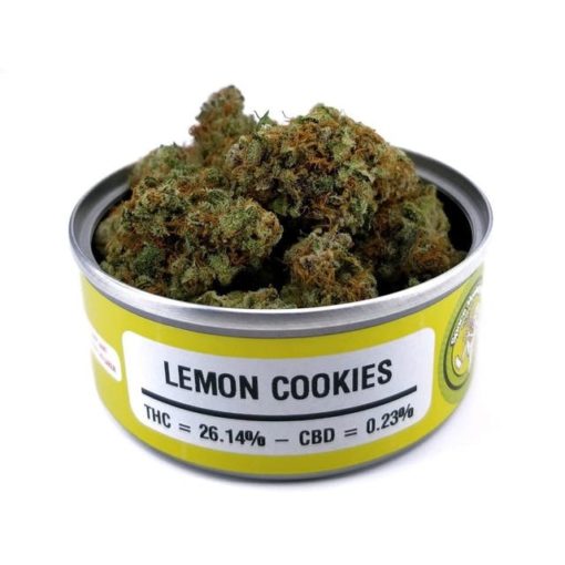 buy lemon cookies strain online