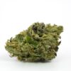 buy master kush online