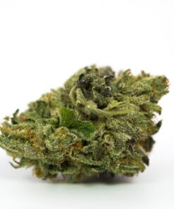 buy master kush online