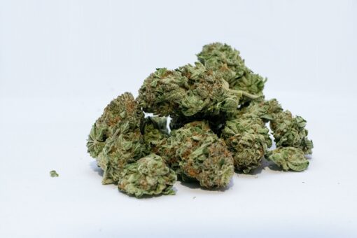 buy mimosa strain online