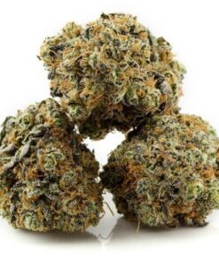 buy c onlineookie monster strain