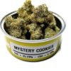mystery cookies strain