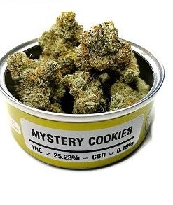 mystery cookies strain