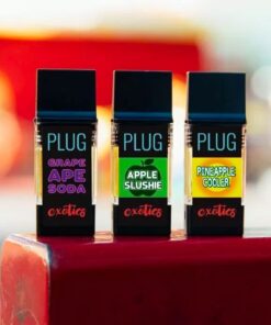 Buy PlugPlay Online