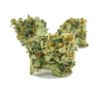 buy true og strain online