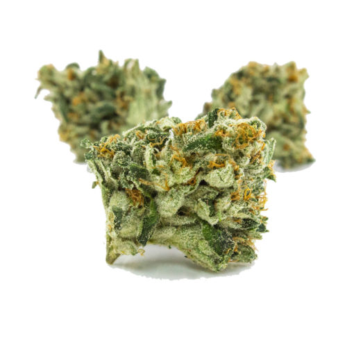 buy true og strain online