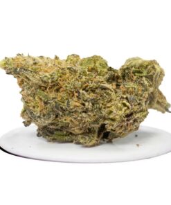 buy slurricane strain online