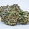 buy purple urkle strain online