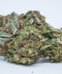buy purple urkle strain online
