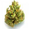 buy chemdawg strain online