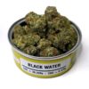 buy black water og strain online
