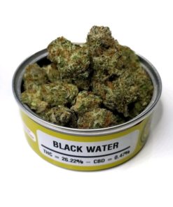 buy black water og strain online