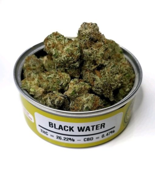 buy black water og strain online
