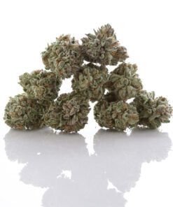 buy bubba kush strain online