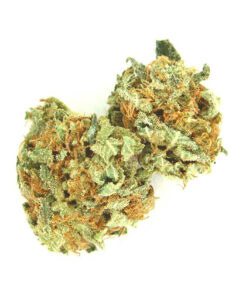 buy ak 47 strain online