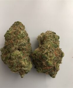 Buy Candyland Strain Online