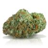 buy cinderella 99 strain online