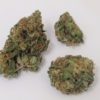 critical mass strain
