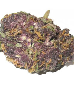 buy granddaddy purple online