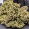 buy face off og online