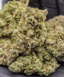 buy face off og online