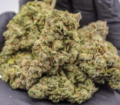 buy face off og online