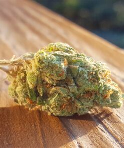 Buy Fruit Punch Strain Online