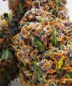 buy grape ape strain online
