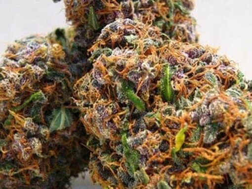 buy grape ape strain online