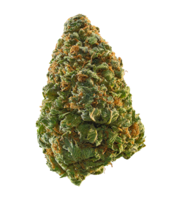 Buy Green Crack strain Online