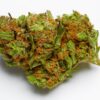 Buy Harlequin Strain Online