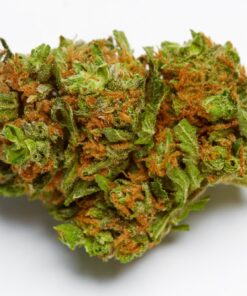 Buy Harlequin Strain Online