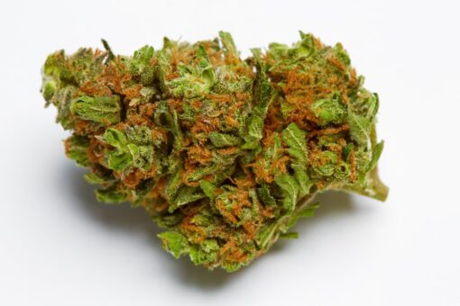 Buy Harlequin Strain Online