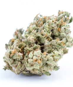 Buy Jack Herer strain Online