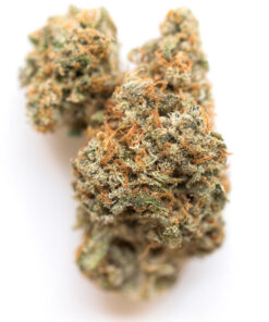 Buy Lemon Meringue strain Online