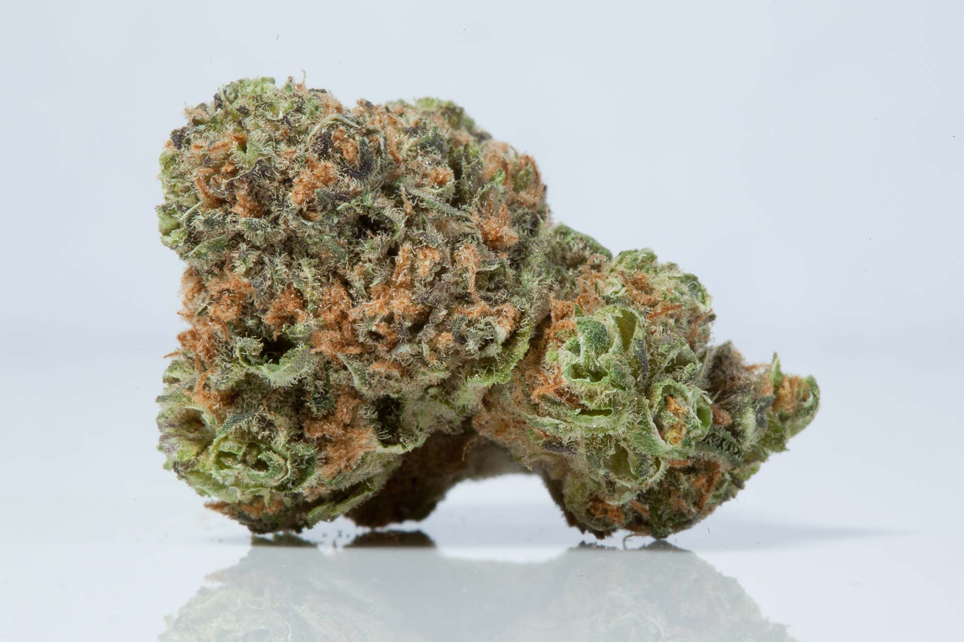 lightshade-pineapple-express-strain-1 buy pineapple express strain online